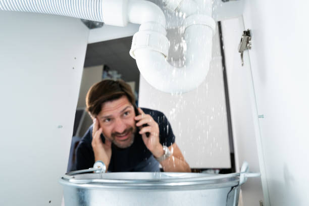 Best Affordable Plumbing Services  in Limesa, CA